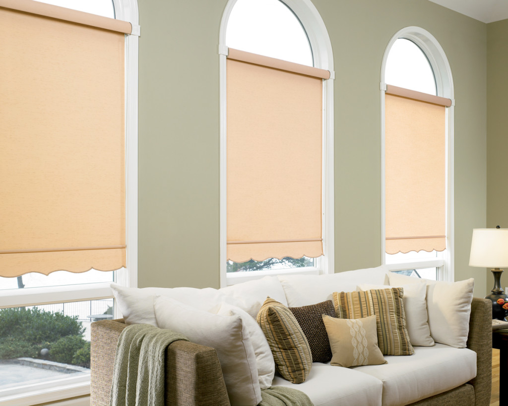 Types of Roller Shades Jupiter FL