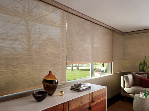Provenance® Woven Wood Shades