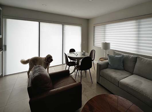 Norman Precision Lift Cordless Roller shades